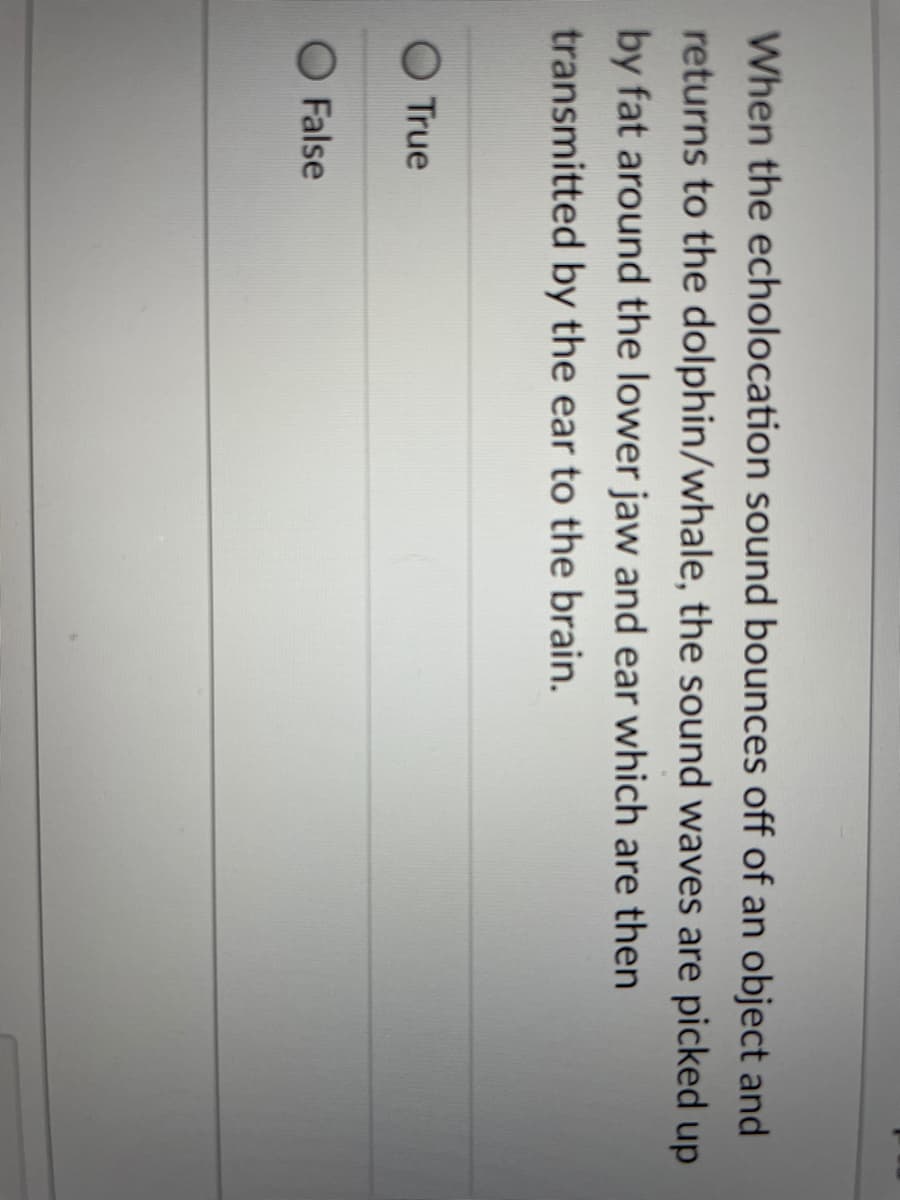 When the echolocation sound bounces off of an object and
returns to the dolphin/whale, the sound waves are picked up
by fat around the lower jaw and ear which are then
transmitted by the ear to the brain.
True
False
