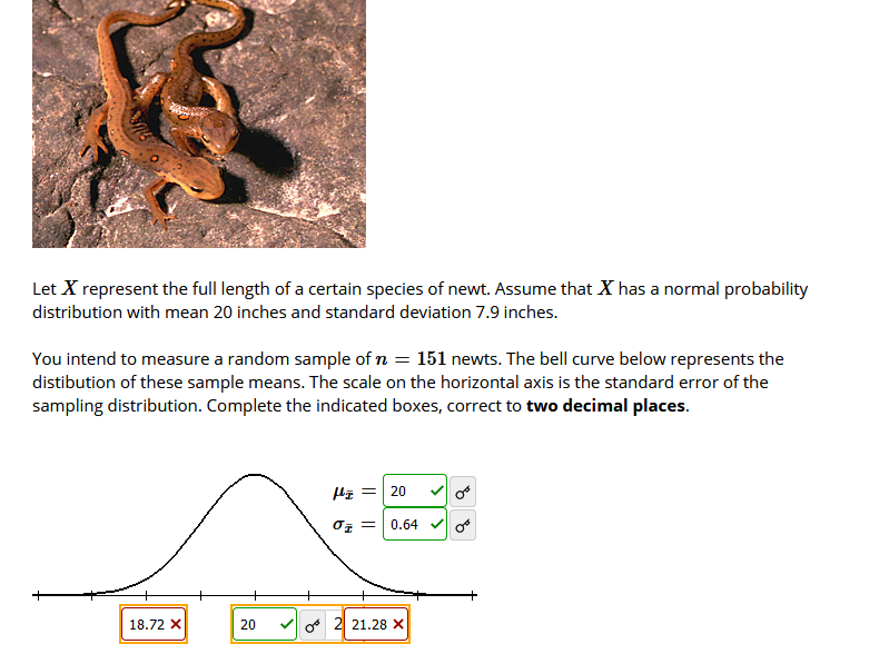 ### Analysis of Newt Length Distribution

**Introduction:**
The image provided includes an analysis of the full length \(X\) of a certain species of newt. We assume \(X\) follows a normal probability distribution with a mean length of 20 inches and a standard deviation of 7.9 inches.

### Sampling Distribution:
To analyze the distribution of newt lengths further, we consider a random sample of \(n = 151\) newts. The diagram below illustrates the bell curve representing the distribution of these sample means.

#### Bell Curve Description:
- **Horizontal Axis Scale:** This represents the standard error of the sampling distribution.
- **Vertical Axis:** Displays the frequency of sample means.

### Calculation:
For this sample:
- **Mean of sample means (\(\mu_{\overline{X}}\)) = 20 inches**
- **Standard error of the sample means (\(\sigma_{\overline{X}}\)) = 0.64 inches**

#### Graph Inclusion:
Below the bell curve, pivotal points are marked for different values. Each point is as follows:
- 18.72 inches
- 20 inches (mean of sample means)
- 21.28 inches

### Conclusion:
The given problem highlights the process of determining the distribution of sample means for the length of a specific species of newt. This is done by recording the lengths of 151 newts and calculating the mean and standard error, demonstrating their normal distribution characteristics.

> **Note:** Calculations should be precise, rounded to two decimal places, as illustrated in the graph.

This explanation comprises a thorough transcription and elucidation suitable for an educational context, ensuring a comprehensive understanding of the concept of sampling distributions in a biological context.