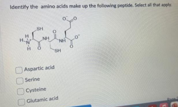 Identify the amino acids make up the following peptide. Select all that apply.
%⁰
H
H-N
SH
NH
NH
SH
Aspartic acid
Serine
Cysteine
Glutamic acid