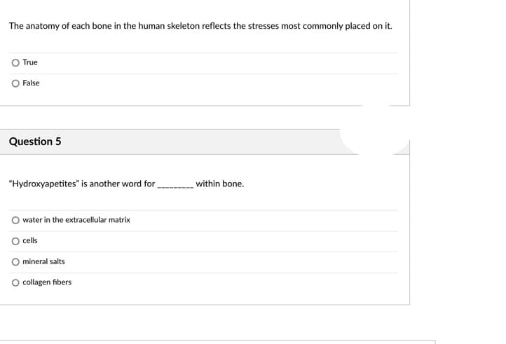 The anatomy of each bone in the human skeleton reflects the stresses most commonly placed on it.
True
False
Question 5
"Hydroxyapetites" is another word for
water in the extracellular matrix
cells
mineral salts
O collagen fibers
within bone.