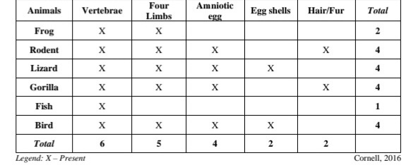 Amniotic
Four
Limbs
Animals
Vertebrae
Egg shells
Hair/Fur
Total
egg
Frog
X
2
Rodent
X
X
X
Lizard
X
X
Gorilla
X
X
X
X
Fish
Bird
4
Total
6.
5
4
Legend: X- Present
Cornell, 2016
2.
