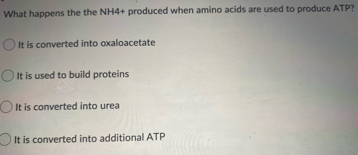 What happens the the NH4+ produced when amino acids are used to produce ATP?
O It is converted into oxaloacetate
O It is used to build proteins
O It is converted into urea
OIt is converted into additional ATP
