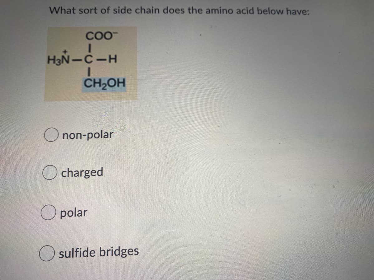 What sort of side chain does the amino acid below have:
COO
H3N-C-H
CH2OH
non-polar
charged
polar
O sulfide bridges
