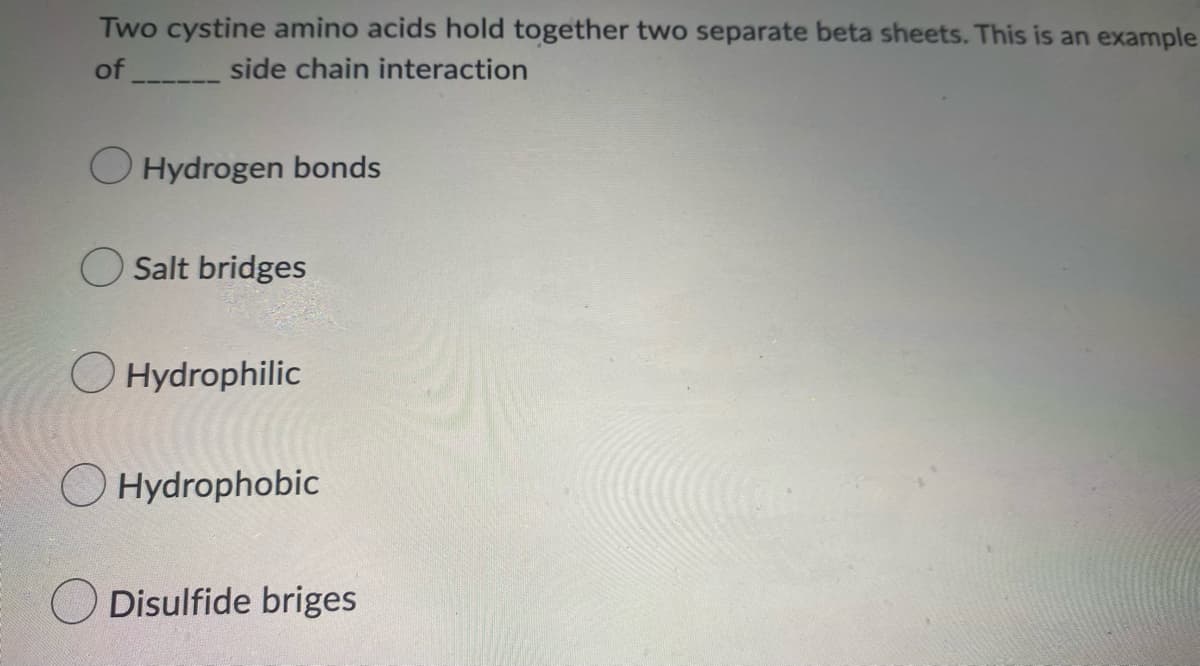 Two cystine amino acids hold together two separate beta sheets. This is an example
of _side chain interaction
O Hydrogen bonds
O Salt bridges
O Hydrophilic
Hydrophobic
Disulfide briges
