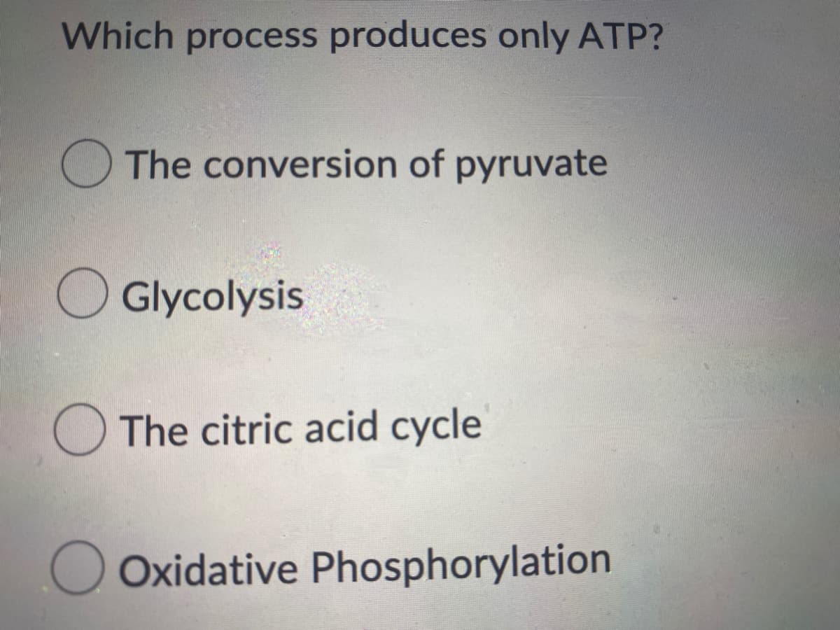 Which process produces only ATP?
O The conversion of pyruvate
Glycolysis
O The citric acid cycle
O Oxidative Phosphorylation
