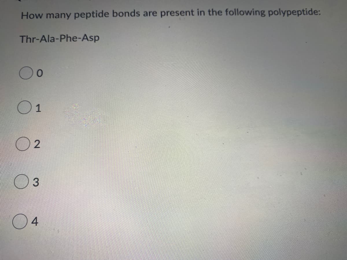 How many peptide bonds are present in the following polypeptide:
Thr-Ala-Phe-Asp
01
02
3.
4
