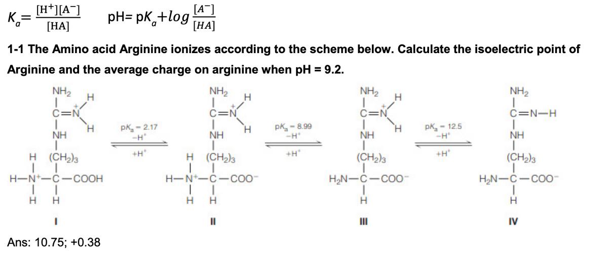 K₁ =
α
[H+][A-]
[HA]
[A-]
pH = pK+log
[HA]
1-1 The Amino acid Arginine ionizes according to the scheme below. Calculate the isoelectric point of
Arginine and the average charge on arginine when pH = 9.2.
NH2
H
C=N
NH
pka-2.17
-H'
NH2
H
C=N
H
NH
PK-8.99
-H
+H*
H (CH2)3
H-N-C-COOH
|
H H
+H*
H (CH2)3
H-N-C-coo-
H
H
Ans: 10.75; +0.38
NH2
NH2
H
C=N
C=N-H
H
NH
PK-12.5
-H
NH
|
+H*
(CH2)3
H₂N-C-COO-
|
H
III
(CH2)3
H₂N-C COO-
H
IV