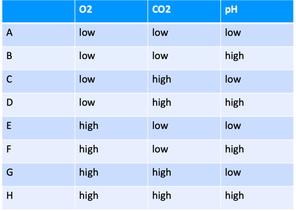 A
B
C
D
E
F
G
H
02
low
low
low
low
high
high
high
high
CO2
low
low
high
high
low
low
high
high
pH
low
high
low
high
low
high
low
high