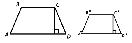 В
B'
A
D'
