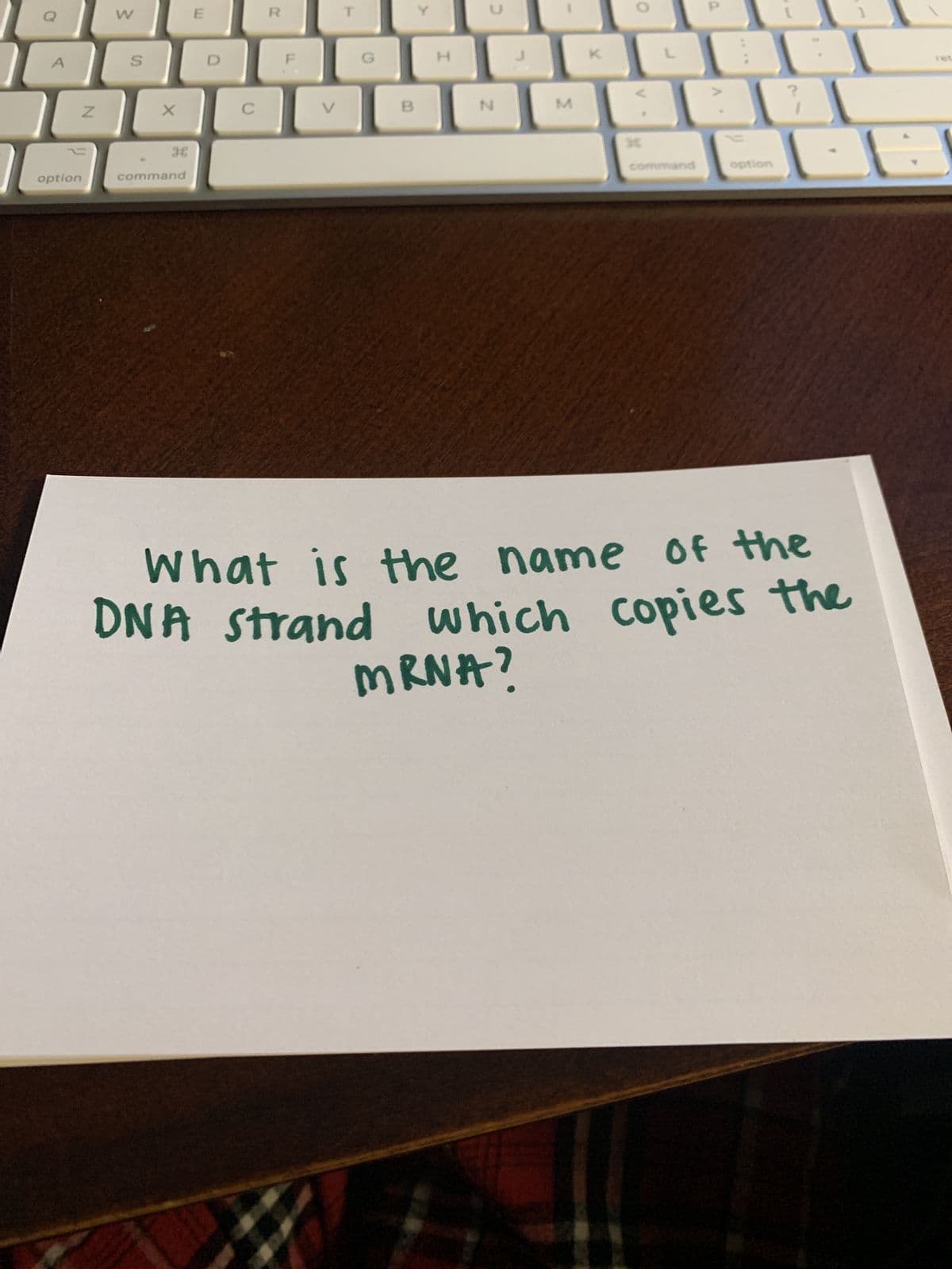 7
A
N
1
option
W
S
X
H
command
E
D
C
R
F
V
T
G
B
Y
H
ɔ
N
J
M
O
L
command
a
V
option
?
1
name of the
What is the
DNA strand which copies the
MRNA?