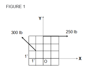 FIGURE 1
Y
300 lb
250 lb
1'
1'
lo
