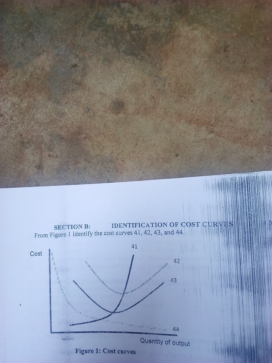 SECTION B:
IDENTIFICATION OF COST CURVES
From Figure 1 Identify the cost curves 41, 42, 43, and 44.
41
Cost
42
43
44
Quantity of output
Figure 1: Cost curves
