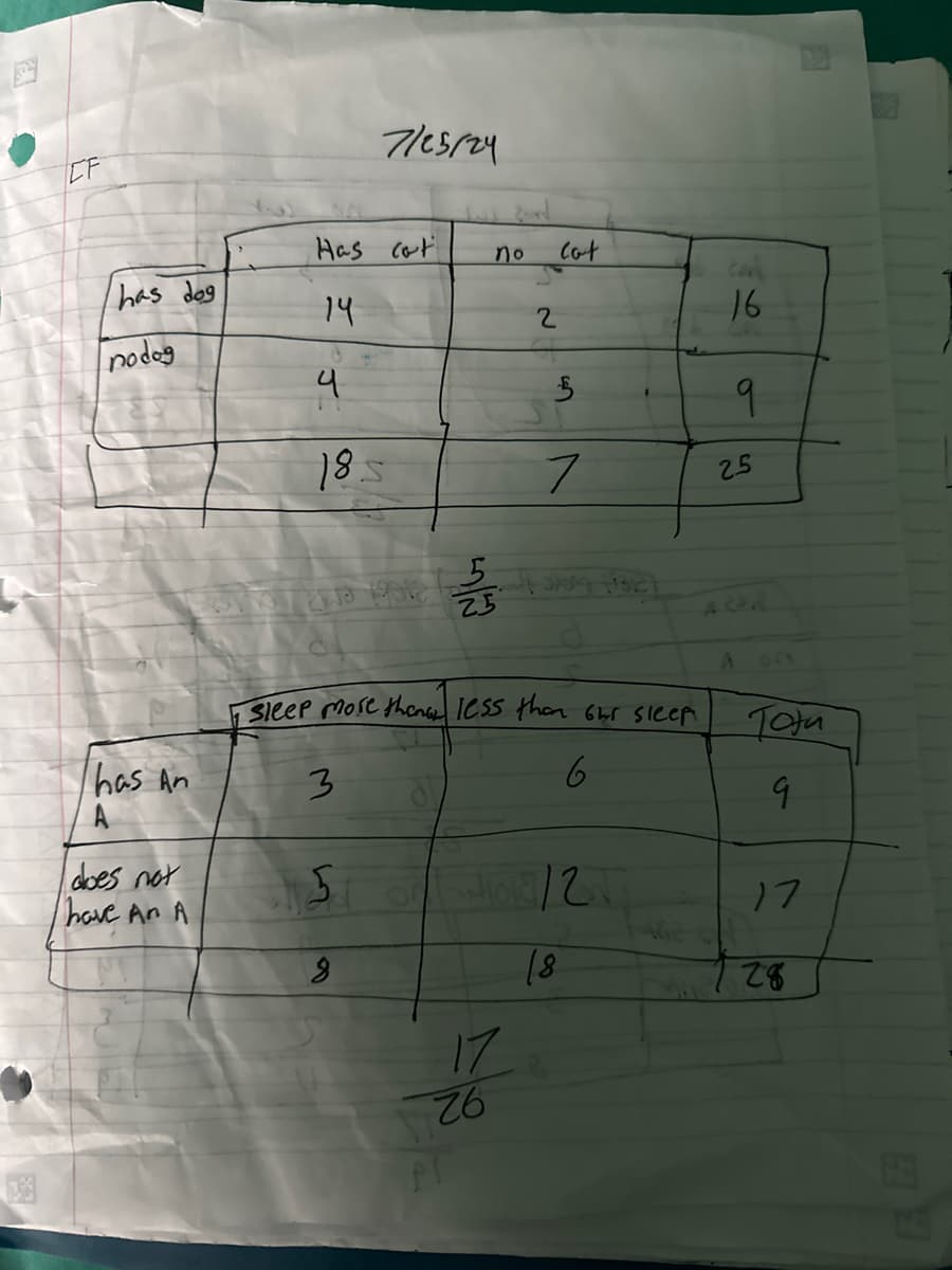 ICF
7/25/24
Has cat
no
Cat
has dog
14
2
16
nodog
4
§
9
18
7
25
Sleep more then less than 6hr sleep
Totu
has An
3
9
does not
5
have An A
12
17
8
18
28
Pl
17
76
HE