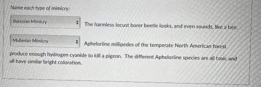 Name each type of mimicry:
Batesian Mimicry
The harmless locust borer beetle looks, and even sounds like a bee.
Mullerian Mimicry
Apheloriine millipedes of the temperate North American forest
produce enough hydrogen cyanide to kill a pigeon. The different Apheloriine species are all toxic and
all have similar bright coloration.