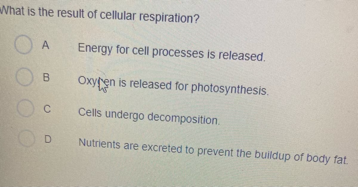 What is the result of cellular respiration?
A
Energy for cell processes is released.
Oxyren is released for photosynthesis.
C
Cells undergo decomposition
Nutrients are excreted to prevent the buildup of body fat.
