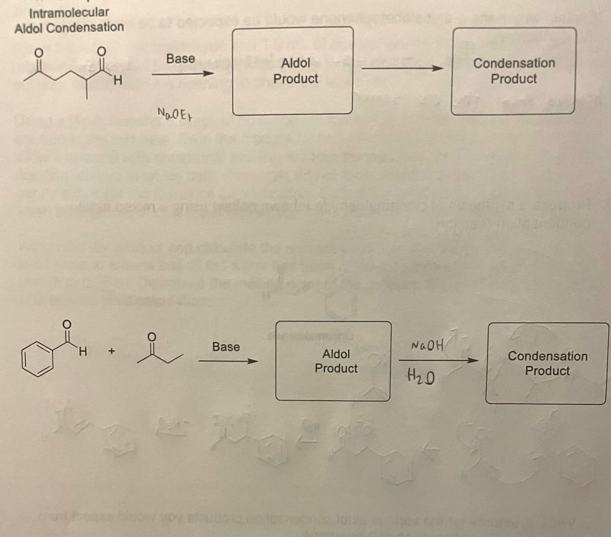 Intramolecular
Aldol Condensation
H
H
Base
NaOEx
شود
i
Base
Aldol
Product
Aldol
Product
642
NaOH
H₂D
Condensation
Product
Condensation
Product