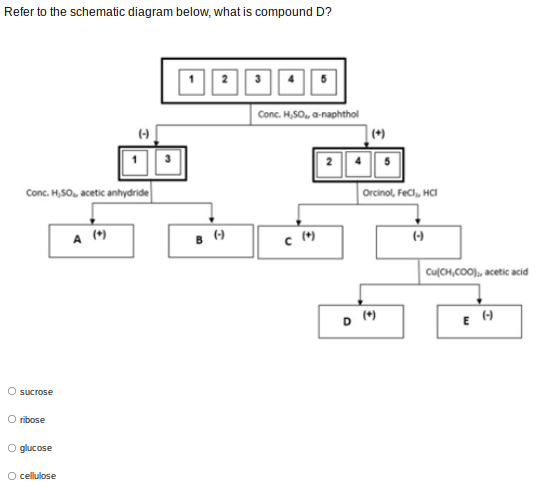 Refer to the schematic diagram below, what is compound D?
Conc. H,S0, a-naphthol
(*)
(-)
Conc. H,SO, acetic anhydride
Orcinol, FeCl, HCI
A ()
(-)
Cu(CH,COO), acetic acid
D ()
sucrose
O ribose
O glucose
O cellulose
