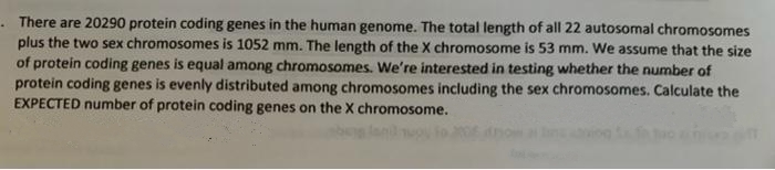 . There are 20290 protein coding genes in the human genome. The total length of all 22 autosomal chromosomes
plus the two sex chromosomes is 1052 mm. The length of the X chromosome is 53 mm. We assume that the size
of protein coding genes is equal among chromosomes. We're interested in testing whether the number of
protein coding genes is evenly distributed among chromosomes including the sex chromosomes. Calculate the
EXPECTED number of protein coding genes on the X chromosome.
