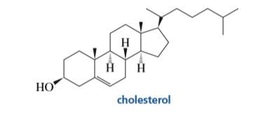 н
н
НО
cholesterol
