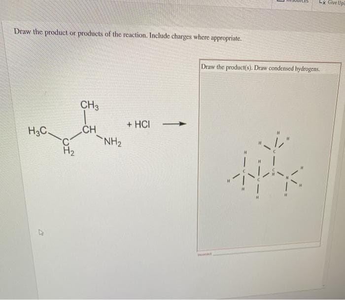 Lx Give Up
Draw the product or products of the reaction. Include charges where appropriate.
Draw the product(s). Draw condensed hydrogens.
CH3
+ HCI
.CH
NH2
H3C.
H2
ect
