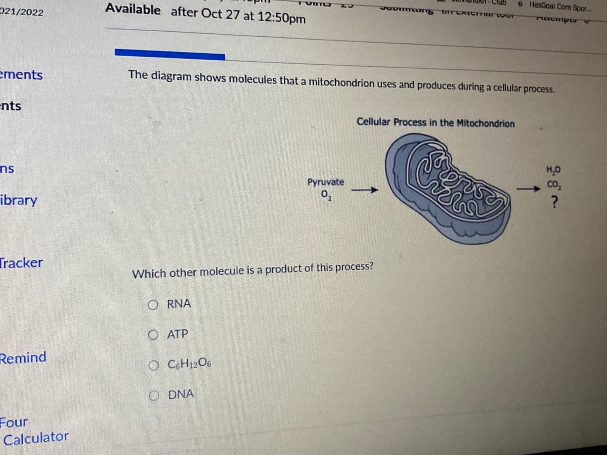 Available after Oct 27 at 12:50pm
Club
@HesGoal.Com Spor
021/2022
ements
The diagram shows molecules that a mitochondrion uses and produces during a cellular process.
ents
Cellular Process in the Mitochondrion
ns
H,0
Co,
Pyruvate
ibrary
Tracker
Which other molecule is a product of this process?
O RNA
O ATP
Remind
O CH12O5
O DNA
Four
Calculator
