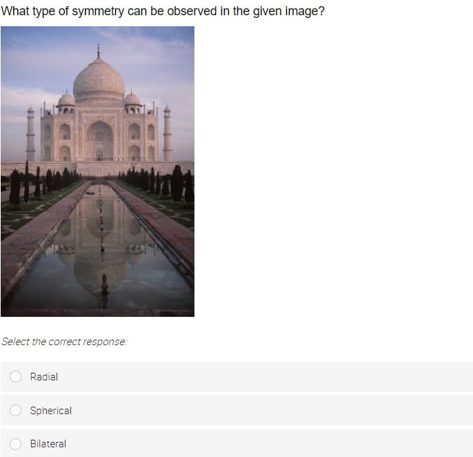 What type of symmetry can be observed in the given image?
Select the correct response:
Radial
Spherical
Bilateral
