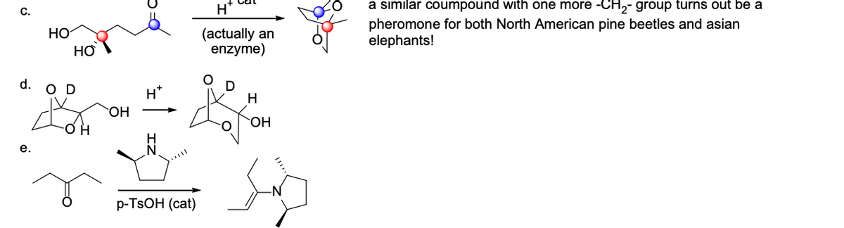 C.
d.
e.
HO
HO
OD
OH
OH
H*
p-TSOH (cat)
H™
(actually an
enzyme)
H
OH
a similar coumpound with one more -CH₂- group turns out be a
pheromone for both North American pine beetles and asian
elephants!