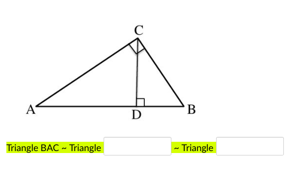 C
A
В
Triangle BAC - Triangle
- Triangle
