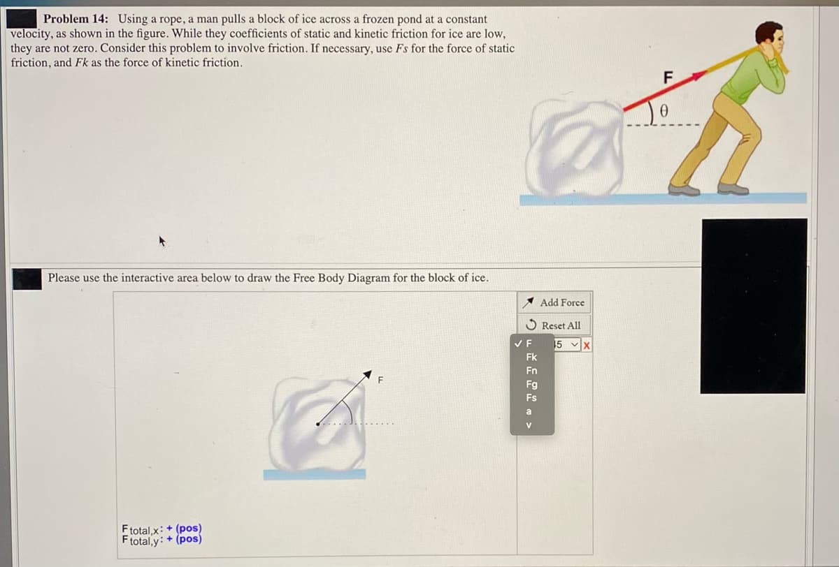 Problem 14: Using a rope, a man pulls a block of ice across a frozen pond at a constant
velocity, as shown in the figure. While they coefficients of static and kinetic friction for ice are low,
they are not zero. Consider this problem to involve friction. If necessary, use Fs for the force of static
friction, and Fk as the force of kinetic friction.
F
Please use the interactive area below to draw the Free Body Diagram for the block of ice.
Add Force
Reset All
5 vX
Fk
Fn
F
Fg
Fs
Ftotal,x: + (pos)
Ftotal,y: + (pos)
