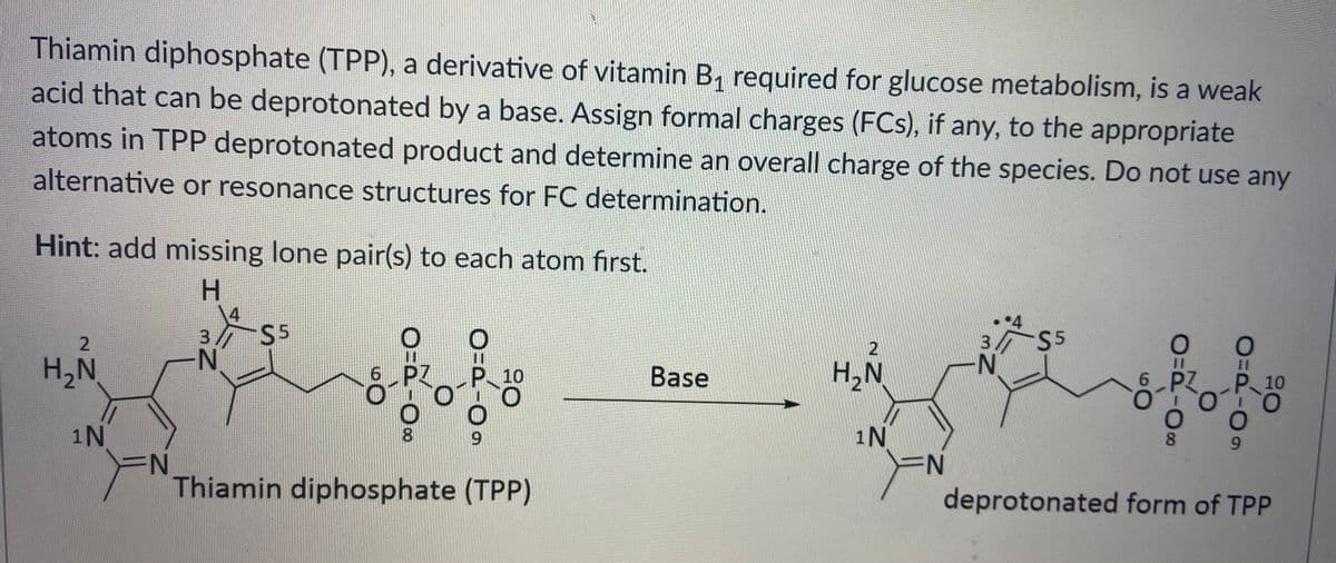 Thiamin diphosphate (TPP), a derivative of vitamin B, required for glucose metabolism, is a weak
acid that can be deprotonated by a base. Assign formal charges (FCs), if any, to the appropriate
atoms in TPP deprotonated product and determine an overall charge of the species. Do not use any
alternative or resonance structures for FC determination.
Hint: add missing lone pair(s) to each atom first.
H.
4
3 S5
N-
24
3 S5
N-
2
H2N
PZ
Base
H,N
10
PZ
P10
O.
1N
9.
1N
9.
Thiamin diphosphate (TPP)
deprotonated form of TPP
