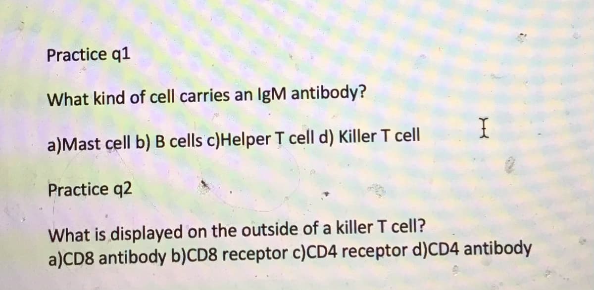 Practice q1
What kind of cell carries an IgM antibody?
a)Mast cell b) B cells c)Helper T cell d) Killer T cell
Practice q2
What is displayed on the outside of a killer T cell?
a)CD8 antibody b)CD8 receptor c)CD4 receptor d)CD4 antibody
