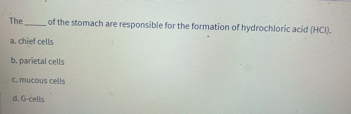 The
of the stomach are responsible for the formation of hydrochloric acid (HCI).
a. chief cells
b. parietal cells
c. mucous cells
d. G-cells