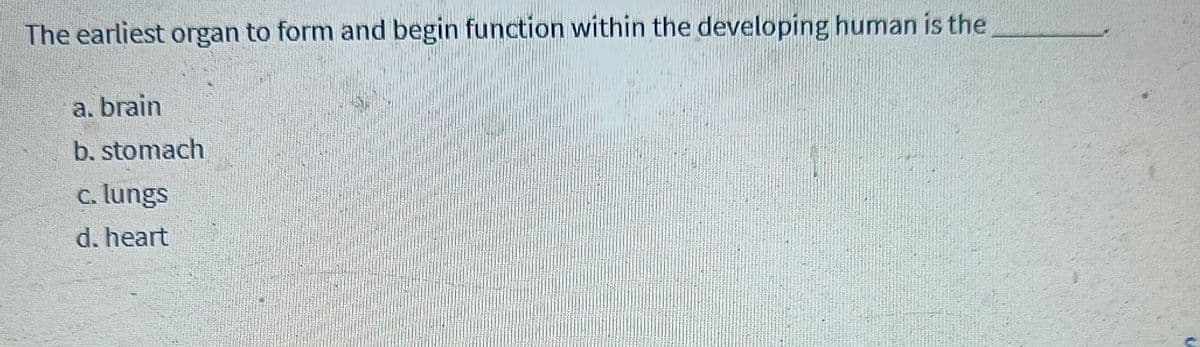 The earliest organ to form and begin function within the developing human is the
a. brain
b. stomach
c. lungs
d. heart
