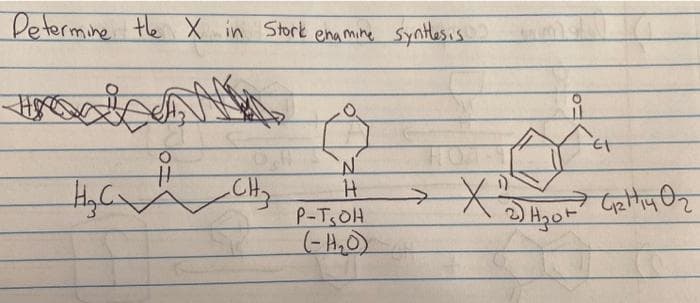 Determine the X in Stork engmine synthesis.
ANM
H₂ CV
"N
H
P-TOH
(- H2O)
X2wye calr
*
2) H3OF
Ch3