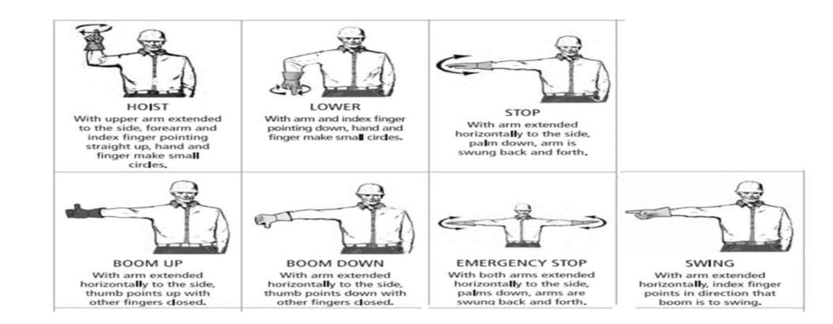 HOIST
LOWER
STOP
With arm and index finger
pointing down, hand and
finger make smal cirdes.
With upper arm extended
to the side, forearm and
index finger pointing
straight up, hand and
finger make small
cirdes.
With arm extended
horizontally to the side,
palm down, arm is
swung back and forth.
BOOM UP
BOOM D OWN
EMERGENCY STOP
SWING
With both arms extended
horizontally to the side,
palms down, arms are
swuna back and forth.
With arm extended
With arm extended
With arm extended
horizontally to the side,
thumb points up with
other fingers dosed.
horizontally to the side,
thumb points down with
other fingers dosed.
horizontalIly, index finger
points in direction that
boom is to swing.
