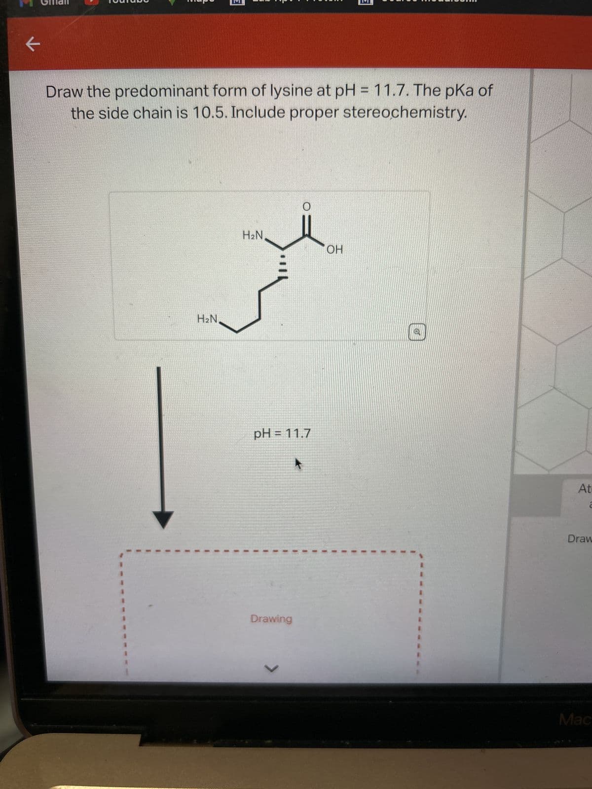 K
Draw the predominant form of lysine at pH = 11.7. The pKa of
the side chain is 10.5. Include proper stereochemistry.
H₂N,
H₂N
pH = 11.7
Drawing
>
+
E
OH
At
2
Draw
Mac