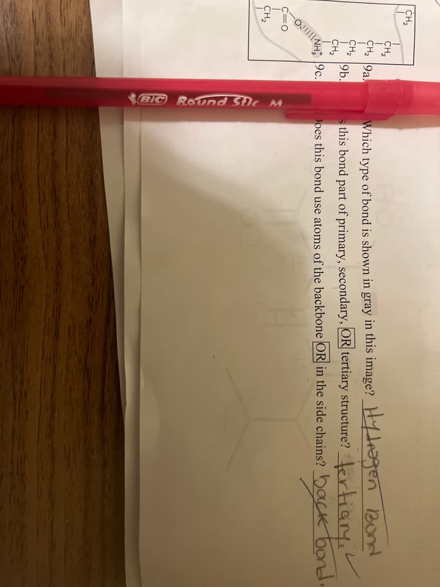 CH₂
CH₂
O
CH₂ 9a.
9b.
19c.
BIC Round Stic M
Which type of bond is shown in gray in this image? Hragen Bond
s this bond part of primary, secondary, OR tertiary structure? tertiary,
Does this bond use atoms of the backbone OR in the side chains? back bond.