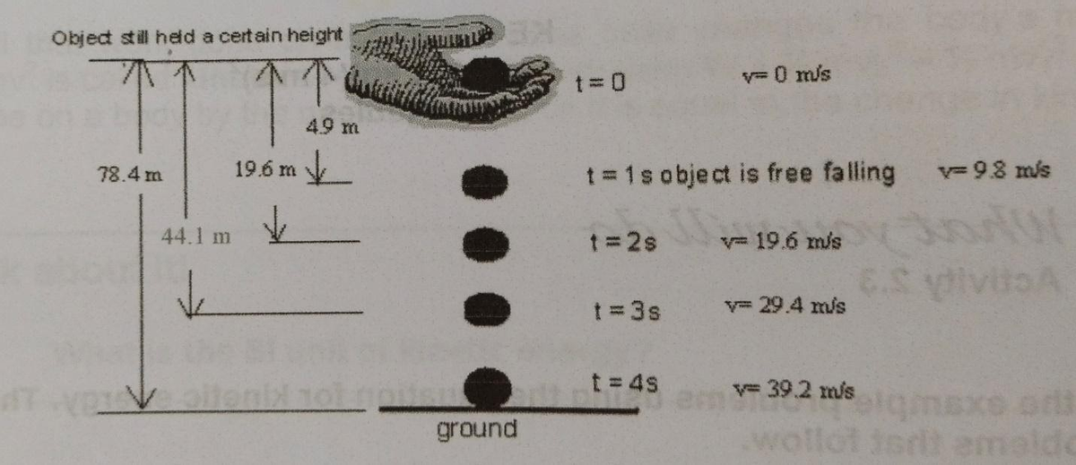 Objed still held a certain height
t 0
v= 0 m/s
49 m
19.6 m y
t = 1s object is free falling
v= 98 m/s
78.4 m
44.1 m
1= 2s
v 19.6 m/s
Vlvito A
t = 3s
y= 29.4 m/s
t = 4s
v= 39.2 m/s
Exe ort
wollot isdt amalde
ground
