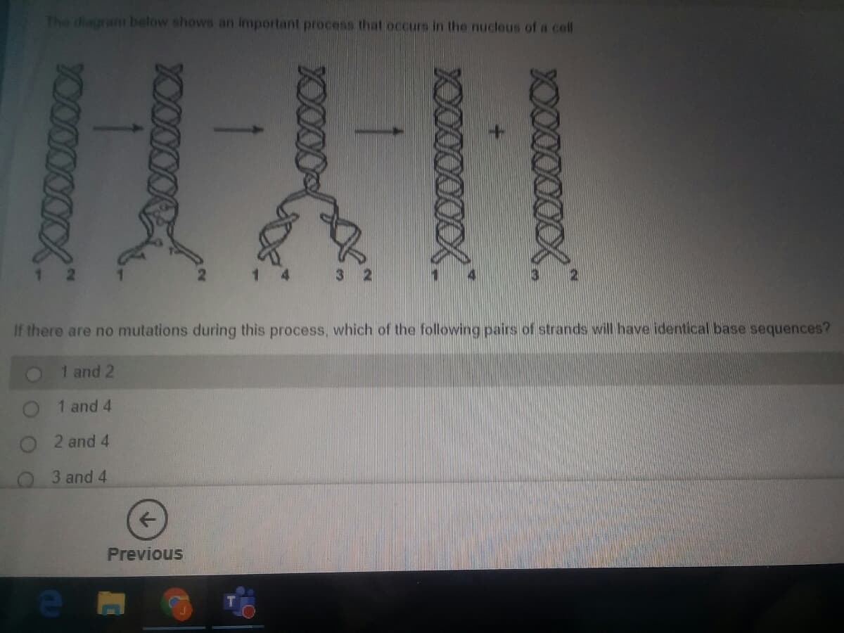 The diagrant below shows an important process that occurs in the ucleus of a cell
3 2
If there are no mutations during this process, which of the following pairs of strands will have identical base sequences?
1 and 2
1 and 4
2 and 4
O 3 and 4
Previous
