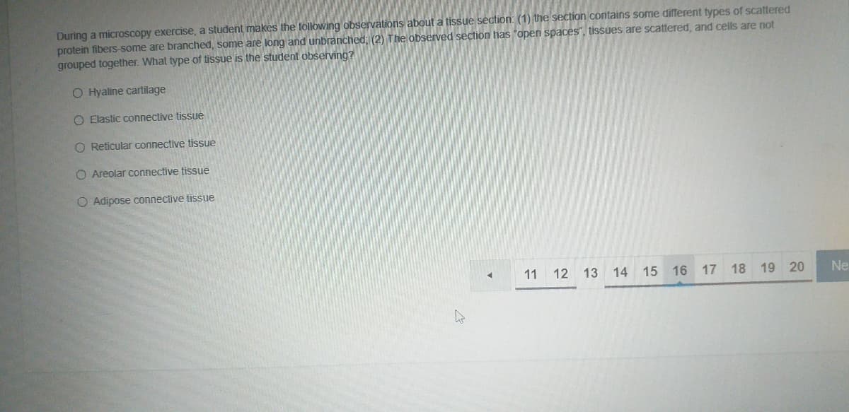 During a microscopy exercise, a student makes the following observations about a tissue section: (1) the section contains some different types of scattered
protein fibers-some are branched, some are long and unbranched, (2) The observed section has open spaces", tissues are scattered, and cells are not
grouped together. What type of tissue is the student observing?
O Hyaline cartilage
O Elastic connective tissue
O Reticular connective tissue
O Areolar connective tissue
O Adipose connective tissue
11 12 13
14
15 16 17 18 19 20
Ne
