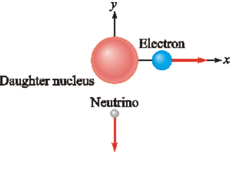 Daughter nucleus
y
Electron
Neutrino