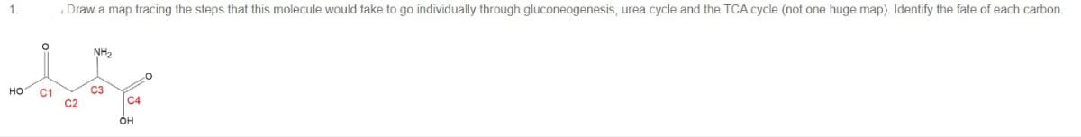 1.
Draw a map tracing the steps that this molecule would take to go individually through gluconeogenesis, urea cycle and the TCA cycle (not one huge map). Identify the fate of each carbon.
NH₂
HO
C1
C4
Он