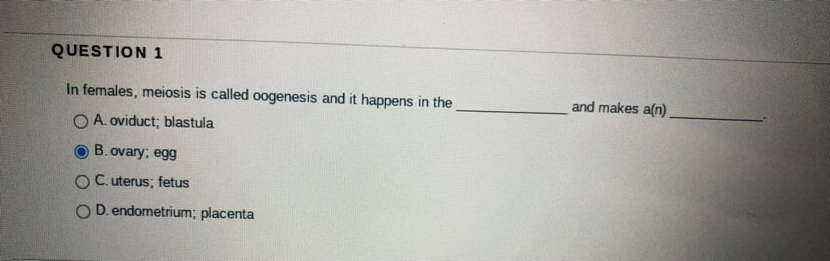 QUESTION 1
In females, meiosis is called oogenesis and it happens in the
and makes a(n)
O A. oviduct; blastula
B. ovary; egg
O C. uterus; fetus
O D. endometrium; placenta
