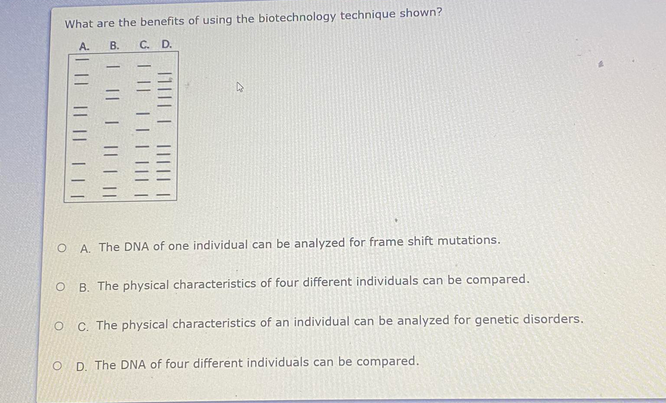 What are the benefits of using the biotechnology technique shown?
A. B.
C. D.
-
A. The DNA of one individual can be analyzed for frame shift mutations.
B. The physical characteristics of four different individuals can be compared.
C. The physical characteristics of an individual can be analyzed for genetic disorders,
O D. The DNA of four different individuals can be compared.
