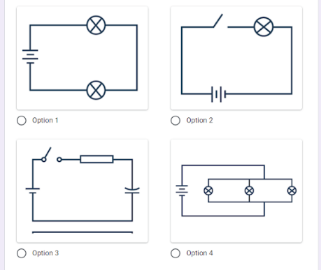 O Option 1
O Option 2
O Option 3
O Option 4
