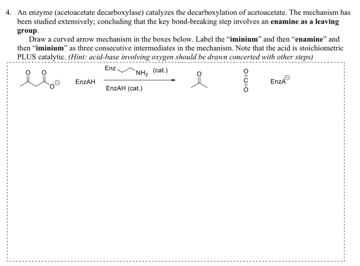 4. An enzyme (acetoacetate decarboxylase) catalyzes the decarboxylation of acetoacetate. The mechanism has
been studied extensively; concluding that the key bond-breaking step involves an enamine as a leaving
group.
Draw a curved arrow mechanism in the boxes below. Label the "iminium” and then "enamine" and
then "iminium" as three consecutive intermediates in the mechanism. Note that the acid is stoichiometric
PLUS catalytic. (Hint: acid-base involving oxygen should be drawn concerted with other steps)
Enz
(cat.)
NH2
EnzAH
EnzAH (cat.)
O=U=0
Θ
EnzA