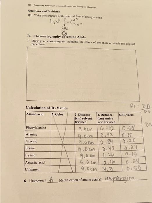 382 Laboratory Manual for General, Organic and Biological Chemistry
Questions and Problems
Q1 Write the structure of the ionized form of phenylalanine
.0
cjiz
B. Chromatography of Amino Acids
1. Draw your chromatogram including the colors of the spots or attach the original
paper here.
Calculation of Re Values
Amino acid
2. Color
Phenylalanine
Alanine
Glycine
Serine
Lysine
Aspartic acid
Unknown
6. Unknown #
A
3. Distance
(cm) solvent
traveled
4. Distance
(cm) amino
acid traveled
9.0cm
Le 012
9.0cm 3.42
9.0cm 2.34
9.0cm 2.43
9,0 con
1.26
R= DA
DS
5. R, value
0.68
0.38
0.26
0.27
0.14
0.24
0.50
9.0cm 2.16
9.0cm 4.5
Identification of amino acid(s) aspargine
DA