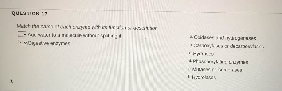 QUESTION 17
Match the name of each enzyme with its function or description.
- Add water to a molecule without splitting it
a. Oxidases and hydrogenases
- v Digestive enzymes
b. Carboxylases or decarboxylases
c. Hydrases
d. Phosphorylating enzymes
e. Mutases or isomerases
f. Hydrolases
