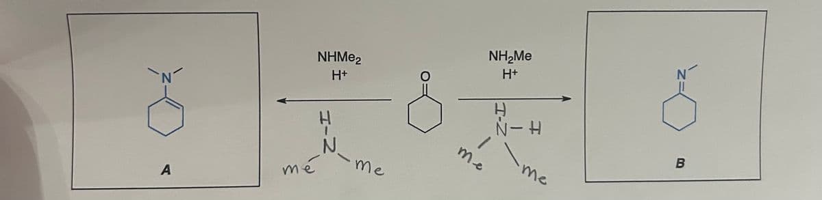 A
mé
NHMе2
H+
H-N
N.
me
NH,Me
H+
me
H-N
N-H
me
B