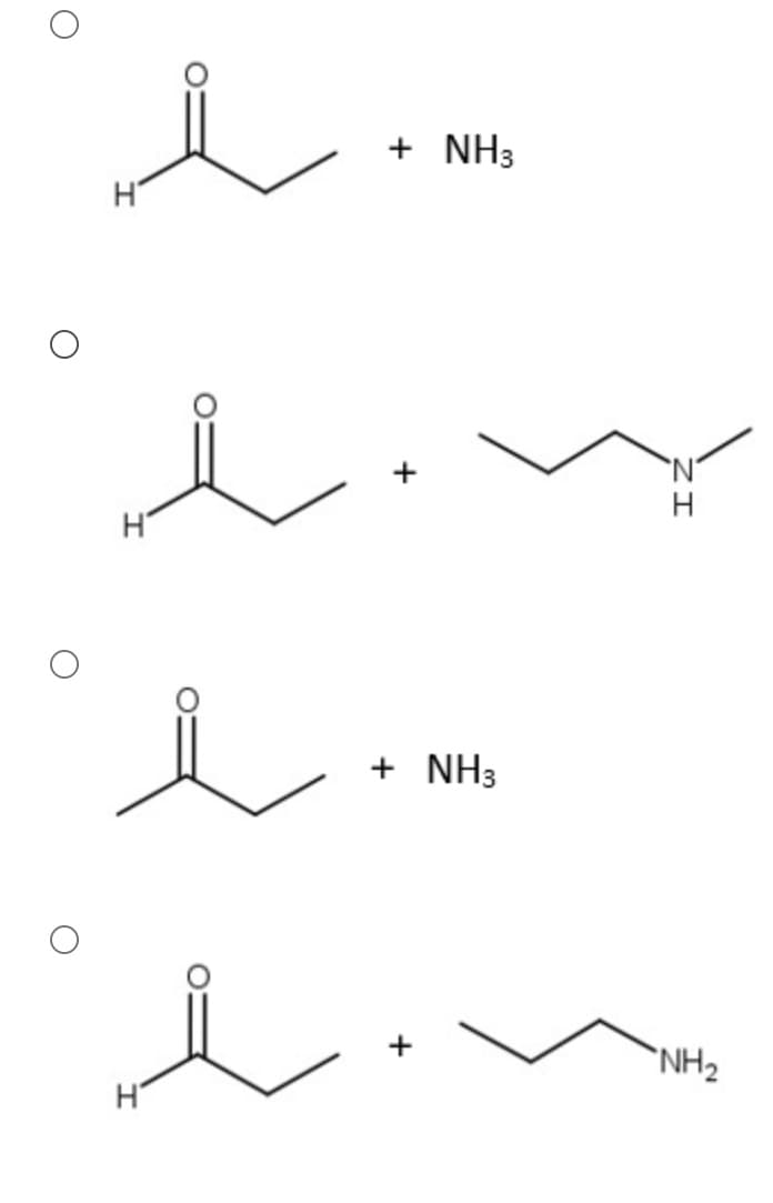 + NH3
H
H
+ NH3
`NH2
